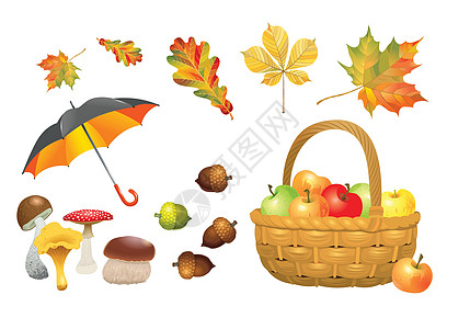 套秋天物体 蘑菇 雨伞 有苹果的螺旋篮 橡树和叶子 矢量插图收藏图片