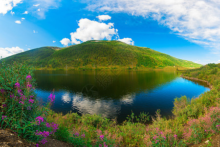 阿尔泰山湖旅游晴天阳光树木生态针叶林森林山脉顶峰全景图片