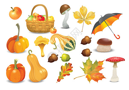 秋季对象集 不同类型的南瓜 蘑菇 雨伞 苹果 橡子和树叶 矢量插图合集图片