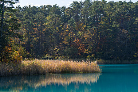 日本福岛秋天日本 乌拉班达伊旅行叶子游客池塘森林晴天蓝色峡谷五色吸引力图片