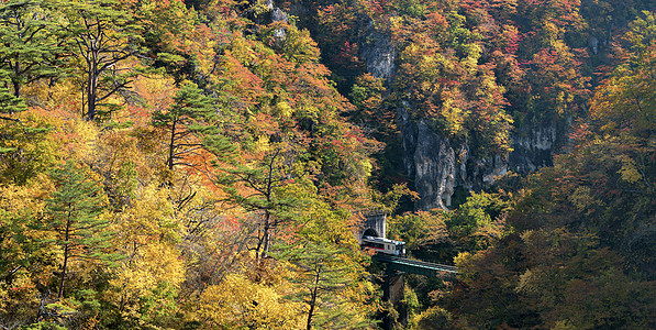 日本宫城东北有铁道隧道的峡谷岩石植物鸣子游客铁路季节叶子溪流木头农村图片