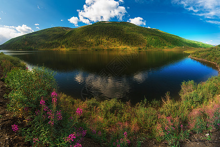 阿尔泰山湖阳光反射高地树木地形风景松树晴天山脉生态图片