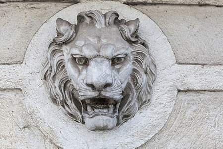 Lion Lion 头饰装饰图片