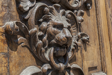 狮子头建筑狮子建筑学动物雕塑金子入口宫殿戒指木头图片