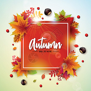 秋天的插图与五颜六色的落叶栗子和白色背景上的刻字 贺卡横幅传单邀请小册子或宣传海报的秋季矢量设计图片