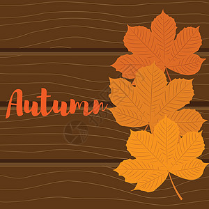 秋天的背景 木制背景上的栗黄色叶子图片