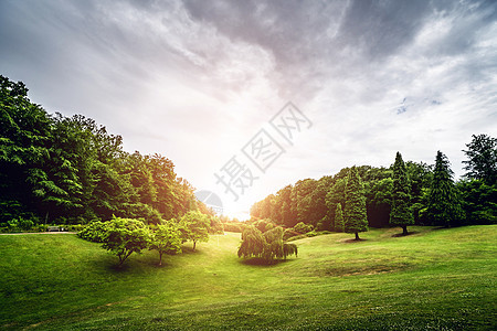 风景与公园的日落图片