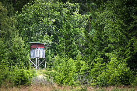 绿色森林中的木林狩猎塔图片