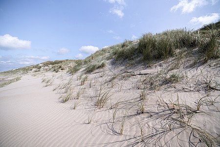 丹麦海滩海岸 带淋草图片