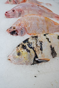 市场上有冰的红鱼厨房皮肤食物标本渔业海鲜海洋鲤鱼美食淡水图片