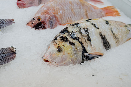 市场上有冰的红鱼皮肤渔业海鲜海洋营养标本淡水钓鱼食物厨房图片