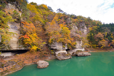 福岛日本不为赫苏里岛日本树木公园反射车削叶子季节爬坡森林国家峡谷图片