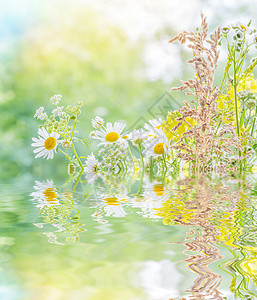 水中反射的不同野花的布束图片