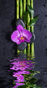 岩石 兰花花和竹子在水中反射图片