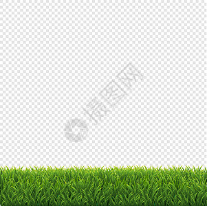 绿色草框透明背景草本植物环境草药国家刀刃植物幼苗叶子绘画杂草图片
