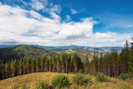 西班牙巴斯克州的Vizcaya森林和山地景观环境晴天蓝色公园农村山脉太阳村庄风景草地图片