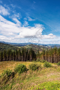 西班牙巴斯克州的Vizcaya森林和山地景观草地环境风景国家晴天场地公园村庄农村太阳图片