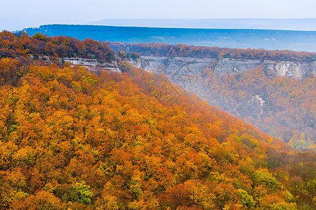 美丽的秋天橙色森林 雾中的山地风景图片