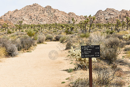 卡利Joshua Tree国家公园的童子军轨迹上的轨迹标志图片