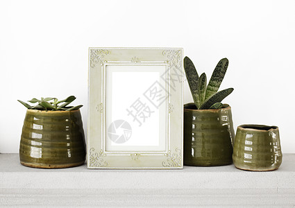 白色背景的古老照片框 绿色天然植物和绿色天然植物图片