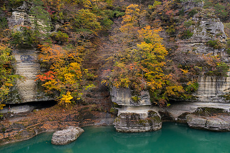 福岛日本不为赫苏里岛日本植物森林公园松树车削爬坡悬崖树木水库池塘图片