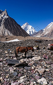 K2和巴基斯坦卡拉科鲁姆山Concordia的宽峰K2和Broad Peak晴天顶峰背包崎岖首脑冰川风景天空登山戏剧性图片