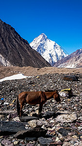 K2和巴基斯坦卡拉科鲁姆山Concordia的宽峰K2和Broad Peak风景帐篷顶峰戏剧性晴天背包登山冰川蓝色首脑图片
