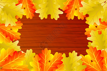 秋叶橡树木头植物墙纸卡片横幅木板叶子季节插图树叶图片