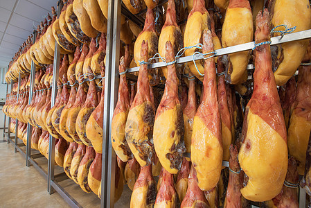西班牙火腿地窖 食品工业治愈调色板猪肉小吃仓库文化工厂熟食持有者食物图片
