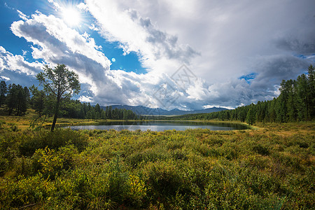 阿尔泰山湖地形森林针叶林反射生态山脉旅行晴天环境旅游图片