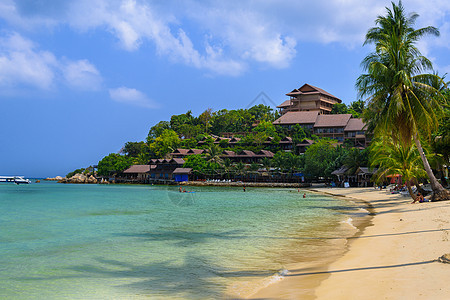 椰子棕榈和平房 Haad Yao海滩 Koh Phangan岛假期珊瑚天堂海洋旅行异国旅游温泉蓝色热带图片