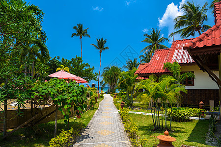 南高潘干岛Haad Yao海滩红色屋顶的宾馆旅游蓝色异国天空温泉天堂热带小屋情调水晶图片