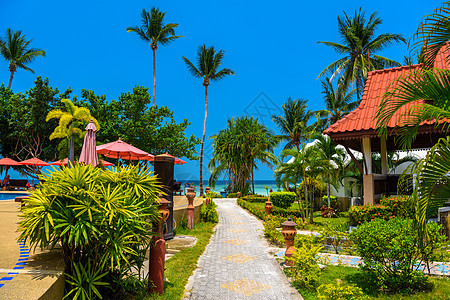 南高潘干岛Haad Yao海滩红色屋顶的宾馆异国棕榈天空温泉蓝色热带旅游天堂假期旅行图片