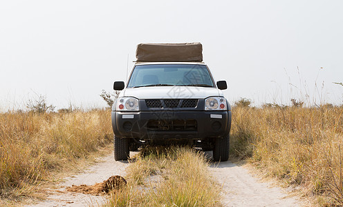 在博茨瓦纳驾驶皮卡车运输露营者沙漠帐篷红色背景图片