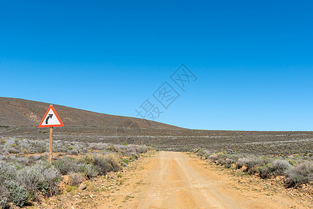 在R356至Ceres的公路上 有道路标志的景观图片