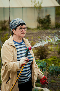 园艺和人的概念  快乐的老年女性在夏天用花园软管浇灌草坪植物群植物草地爱好闲暇洒水器后院农业女士成人图片