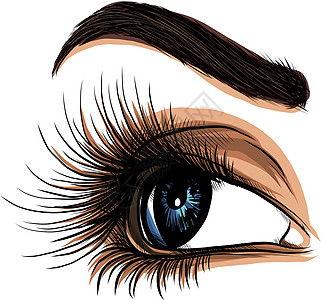 在白色背景上的眼睛 女人的眼睛 眼睛标志 眼睛艺术 人脸雕刻眼影彩妆眼球睫毛眼镜大师化妆品眼科视力表图片