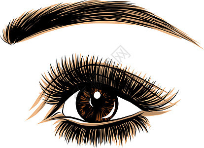 在白色背景上的眼睛 女人的眼睛 眼睛标志 眼睛艺术 人脸眼影睫毛眼妆眼球绘画女性大师眼镜彩妆检查图片