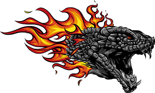 龙之首在火焰中燃烧绘画危险爪子怪物愤怒卡通片插图舌头飞行翅膀图片