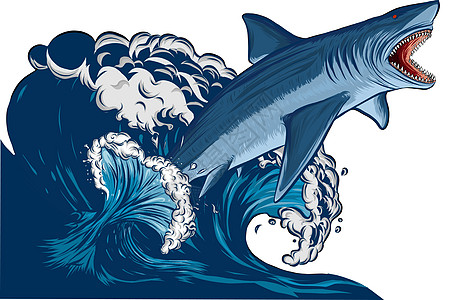 张开海口的鲨鱼 平面矢量说明动物侵略捕食者野生动物横幅插图海洋攻击蓝色游泳图片
