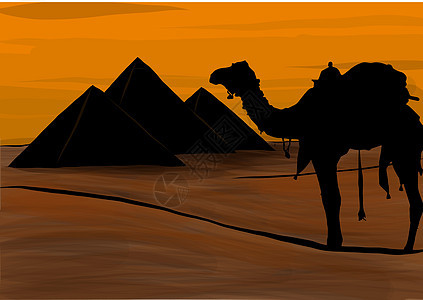 埃及 吉萨大金字塔 矢量说明图片