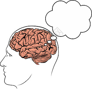 矢量人脸棕色剪影与大脑内技术解决方案创新神经风暴头脑思考小脑记忆教育图片