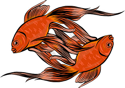 红鼓红鱼 带有精致细节的矢量插图鲤鱼艺术海洋金鱼食物海鲜风格水墨手绘跳鱼图片