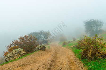 山地道路 灌木的光影 浓雾中的风景图片