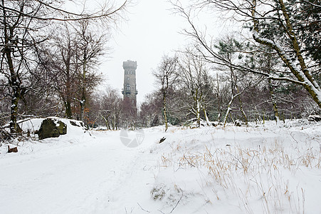 冬季风景布满了望塔天空森林旅行木头树木童话场景暴风雪季节白色图片