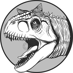矢量中的卡通恐龙素描收藏情感动物力量涂鸦龙类艺术插图荒野草图图片