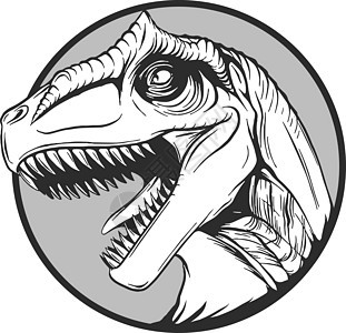 矢量中的卡通恐龙素描侏罗纪攻击草图荒野捕食者虚骨爬虫收藏生物插图图片