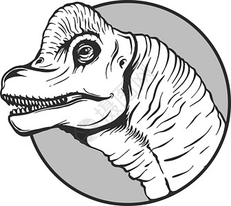矢量中的卡通恐龙素描生物侏罗纪龙类动物艺术卡通片收藏插图荒野力量图片