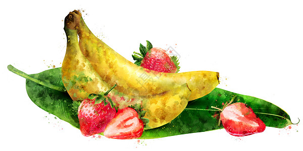 白色背景上的香蕉和草莓 它制作水彩画叶子标签餐厅蜜饯食物水彩浆果斑点包装果汁图片