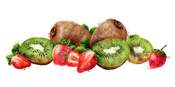 白色背景的草莓和kiwi 水彩图巧克力烹饪厨房甜点徽章绘画蜜饯插图收成食物图片